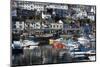 Harbour, Brixham, Devon, England, United Kingdom-Peter Groenendijk-Mounted Photographic Print