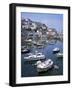 Harbour, Brixham, South Devon, England, United Kingdom-Roy Rainford-Framed Photographic Print