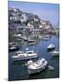 Harbour, Brixham, South Devon, England, United Kingdom-Roy Rainford-Mounted Photographic Print