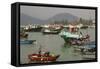 Harbour, Cheung Chau Island, Hong Kong, China, Asia-Rolf Richardson-Framed Stretched Canvas