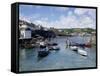 Harbour, Coverack, Cornwall, England, United Kingdom-Jonathan Hodson-Framed Stretched Canvas