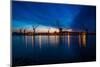 Harbour cranes at dusk, Gothenburg, province of Västra Götalands län, Sweden-Andrea Lang-Mounted Photographic Print