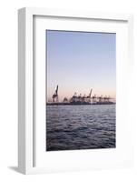 Harbour Cranes, Waltershof, Evening Mood, Harbour, Hanseatic City of Hamburg, Germany-Axel Schmies-Framed Photographic Print