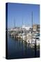 Harbour, Friedrichshafen, Lake of Constance, Baden-Wurttemberg, Germany-Ernst Wrba-Stretched Canvas