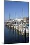 Harbour, Friedrichshafen, Lake of Constance, Baden-Wurttemberg, Germany-Ernst Wrba-Mounted Photographic Print