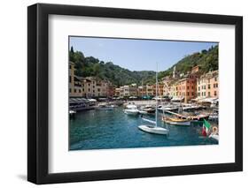 Harbour from Boat in Portofino, Genova (Genoa), Liguria, Italy, Europe-Frank Fell-Framed Photographic Print