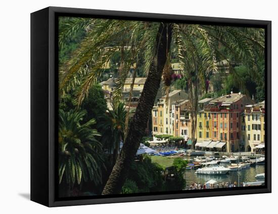 Harbour from Hillside, Palm-Tree in Foreground, Portofino, Portofino Peninsula, Liguria, Italy-Tomlinson Ruth-Framed Stretched Canvas