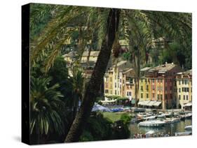 Harbour from Hillside, Palm-Tree in Foreground, Portofino, Portofino Peninsula, Liguria, Italy-Tomlinson Ruth-Stretched Canvas