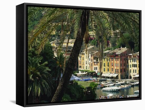Harbour from Hillside, Palm-Tree in Foreground, Portofino, Portofino Peninsula, Liguria, Italy-Tomlinson Ruth-Framed Stretched Canvas