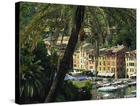 Harbour from Hillside, Palm-Tree in Foreground, Portofino, Portofino Peninsula, Liguria, Italy-Tomlinson Ruth-Stretched Canvas