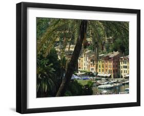 Harbour from Hillside, Palm-Tree in Foreground, Portofino, Portofino Peninsula, Liguria, Italy-Tomlinson Ruth-Framed Photographic Print