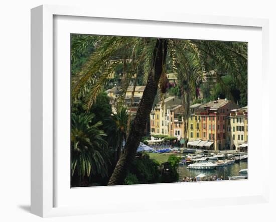 Harbour from Hillside, Palm-Tree in Foreground, Portofino, Portofino Peninsula, Liguria, Italy-Tomlinson Ruth-Framed Photographic Print