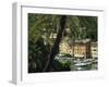 Harbour from Hillside, Palm-Tree in Foreground, Portofino, Portofino Peninsula, Liguria, Italy-Tomlinson Ruth-Framed Photographic Print