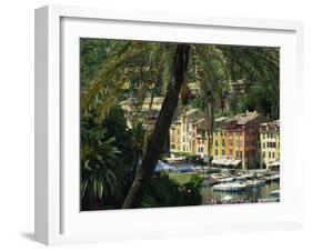 Harbour from Hillside, Palm-Tree in Foreground, Portofino, Portofino Peninsula, Liguria, Italy-Tomlinson Ruth-Framed Photographic Print