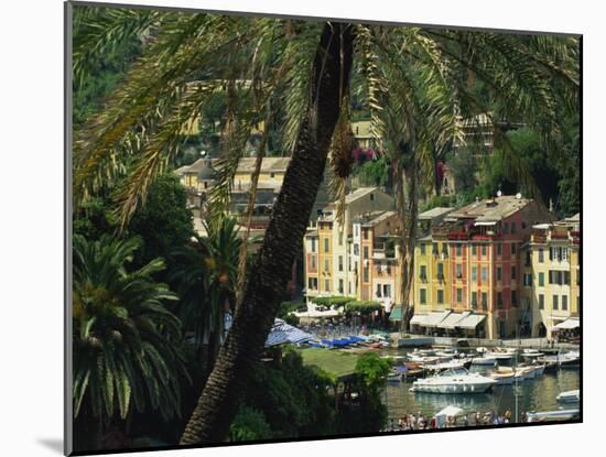 Harbour from Hillside, Palm-Tree in Foreground, Portofino, Portofino Peninsula, Liguria, Italy-Tomlinson Ruth-Mounted Photographic Print