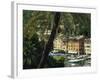 Harbour from Hillside, Palm-Tree in Foreground, Portofino, Portofino Peninsula, Liguria, Italy-Tomlinson Ruth-Framed Photographic Print