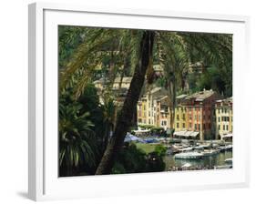 Harbour from Hillside, Palm-Tree in Foreground, Portofino, Portofino Peninsula, Liguria, Italy-Tomlinson Ruth-Framed Photographic Print