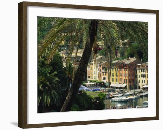 Harbour from Hillside, Palm-Tree in Foreground, Portofino, Portofino Peninsula, Liguria, Italy-Tomlinson Ruth-Framed Photographic Print