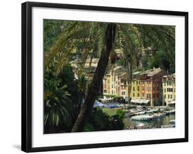 Harbour from Hillside, Palm-Tree in Foreground, Portofino, Portofino Peninsula, Liguria, Italy-Tomlinson Ruth-Framed Photographic Print