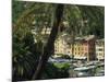 Harbour from Hillside, Palm-Tree in Foreground, Portofino, Portofino Peninsula, Liguria, Italy-Tomlinson Ruth-Mounted Photographic Print