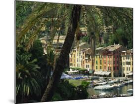 Harbour from Hillside, Palm-Tree in Foreground, Portofino, Portofino Peninsula, Liguria, Italy-Tomlinson Ruth-Mounted Photographic Print