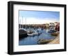 Harbour, Halleviksstrand, Stocken, Orust Island, West Gotaland, Sweden, Scandinavia, Europe-Robert Cundy-Framed Photographic Print