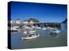 Harbour, Ilfracombe, North Devon, England, United Kingdom-Chris Nicholson-Stretched Canvas