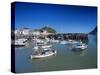 Harbour, Ilfracombe, North Devon, England, United Kingdom-Chris Nicholson-Stretched Canvas