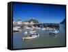 Harbour, Ilfracombe, North Devon, England, United Kingdom-Chris Nicholson-Framed Stretched Canvas