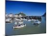 Harbour, Ilfracombe, North Devon, England, United Kingdom-Chris Nicholson-Mounted Photographic Print