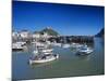 Harbour, Ilfracombe, North Devon, England, United Kingdom-Chris Nicholson-Mounted Photographic Print