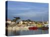 Harbour, La Cotiniere, Ile D'Oleron, Poitou Charentes, France, Europe-Thouvenin Guy-Stretched Canvas