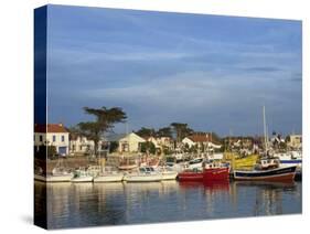 Harbour, La Cotiniere, Ile D'Oleron, Poitou Charentes, France, Europe-Thouvenin Guy-Stretched Canvas
