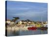 Harbour, La Cotiniere, Ile D'Oleron, Poitou Charentes, France, Europe-Thouvenin Guy-Stretched Canvas