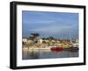 Harbour, La Cotiniere, Ile D'Oleron, Poitou Charentes, France, Europe-Thouvenin Guy-Framed Photographic Print