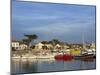 Harbour, La Cotiniere, Ile D'Oleron, Poitou Charentes, France, Europe-Thouvenin Guy-Mounted Photographic Print