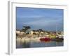 Harbour, La Cotiniere, Ile D'Oleron, Poitou Charentes, France, Europe-Thouvenin Guy-Framed Photographic Print