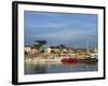 Harbour, La Cotiniere, Ile D'Oleron, Poitou Charentes, France, Europe-Thouvenin Guy-Framed Photographic Print