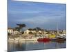 Harbour, La Cotiniere, Ile D'Oleron, Poitou Charentes, France, Europe-Thouvenin Guy-Mounted Photographic Print