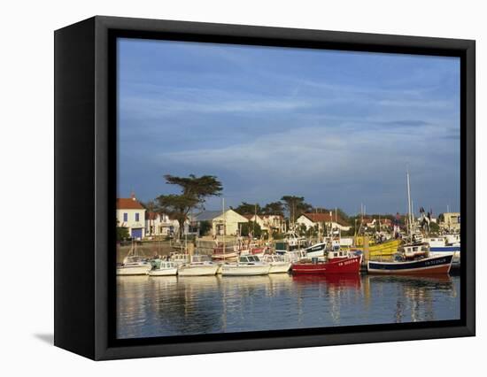 Harbour, La Cotiniere, Ile D'Oleron, Poitou Charentes, France, Europe-Thouvenin Guy-Framed Stretched Canvas