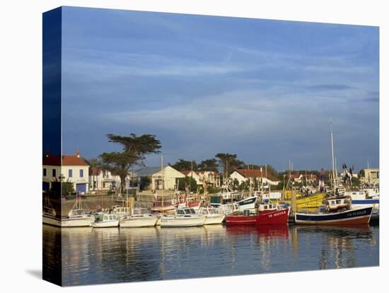 Harbour, La Cotiniere, Ile D'Oleron, Poitou Charentes, France, Europe-Thouvenin Guy-Stretched Canvas