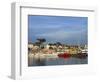 Harbour, La Cotiniere, Ile D'Oleron, Poitou Charentes, France, Europe-Thouvenin Guy-Framed Photographic Print
