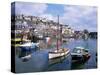 Harbour, Mevagissey, Cornwall, United Kingdom-Roy Rainford-Stretched Canvas