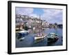 Harbour, Mevagissey, Cornwall, United Kingdom-Roy Rainford-Framed Photographic Print