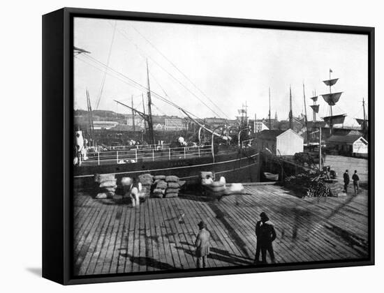 Harbour of Auckland, New Zealand, 1893-John L Stoddard-Framed Stretched Canvas