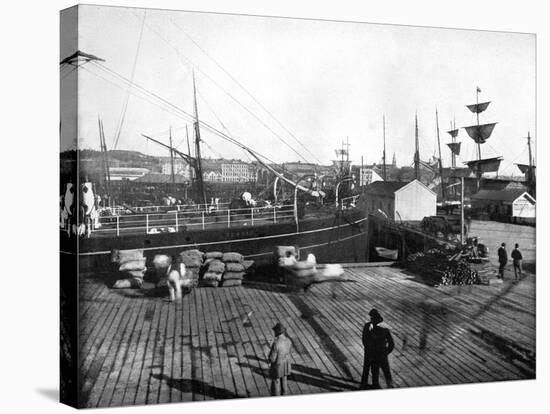 Harbour of Auckland, New Zealand, 1893-John L Stoddard-Stretched Canvas