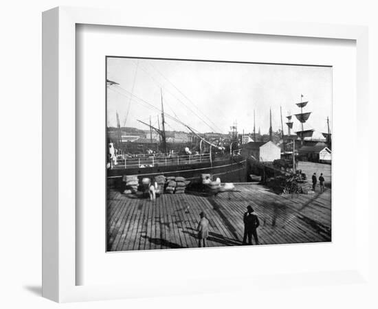 Harbour of Auckland, New Zealand, 1893-John L Stoddard-Framed Giclee Print