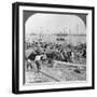 Harbour of Rangoon on the Irawaddy River, Burma, 1908-null-Framed Photographic Print