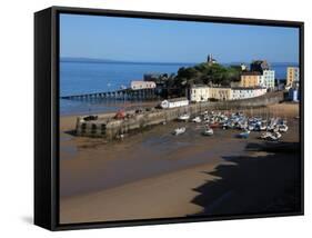 Harbour of Seaside Town of Tenby, Pembrokeshire Coast National Park, Wales, United Kingdom-David Pickford-Framed Stretched Canvas