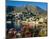 Harbour of Symi, Greece-null-Mounted Art Print